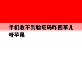 手机收不到验证码咋回事儿呀苹果