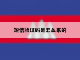 短信验证码是怎么来的