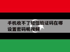 手机收不了短信验证码在哪设置密码呢视频