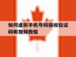 如何虚拟手机号码接收验证码呢视频教程