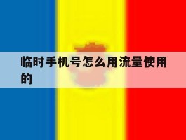 临时手机号怎么用流量使用的