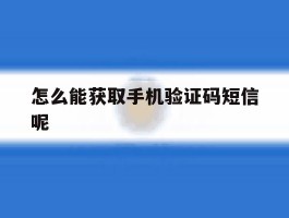 怎么能获取手机验证码短信呢