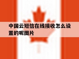 包含中国云短信在线接收怎么设置的呢图片的词条