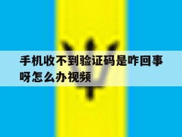 手机收不到验证码是咋回事呀怎么办视频