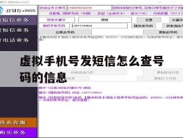 虚拟手机号发短信怎么查号码的信息