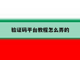 验证码平台教程怎么弄的