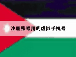 注册账号用的虚拟手机号