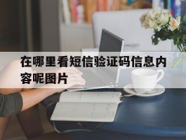 在哪里看短信验证码信息内容呢图片
