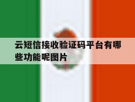 包含云短信接收验证码平台有哪些功能呢图片的词条