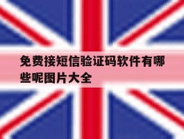 免费接短信验证码软件有哪些呢图片大全