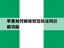 苹果如何解除短信验证码拦截功能