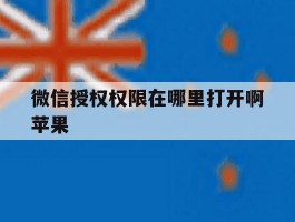 微信授权权限在哪里打开啊苹果