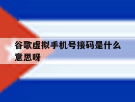 谷歌虚拟手机号接码是什么意思呀