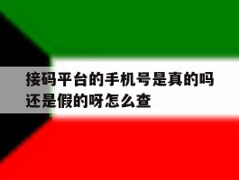 接码平台的手机号是真的吗还是假的呀怎么查