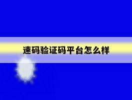 速码验证码平台怎么样