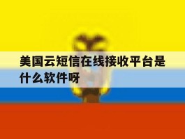 美国云短信在线接收平台是什么软件呀的简单介绍