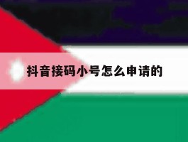 抖音接码小号怎么申请的